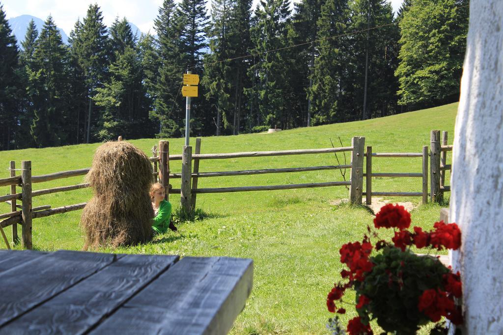 Apartment Andrea - Chiemgau Karte Inzell Δωμάτιο φωτογραφία