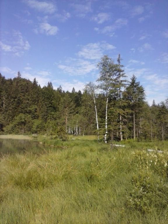 Apartment Andrea - Chiemgau Karte Inzell Δωμάτιο φωτογραφία
