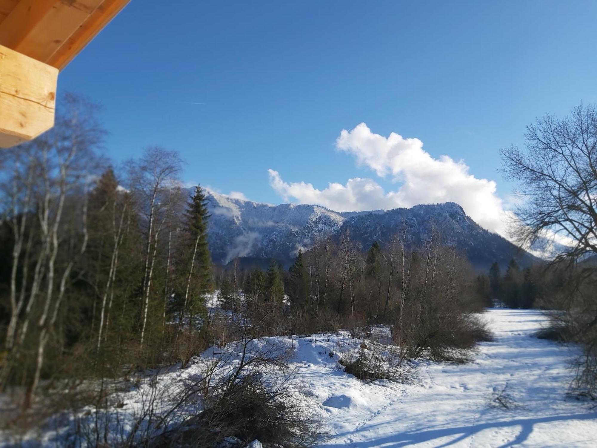 Apartment Andrea - Chiemgau Karte Inzell Εξωτερικό φωτογραφία