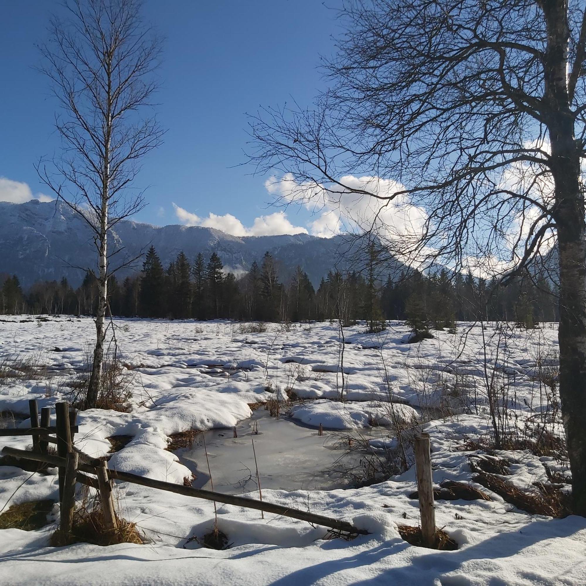 Apartment Andrea - Chiemgau Karte Inzell Εξωτερικό φωτογραφία