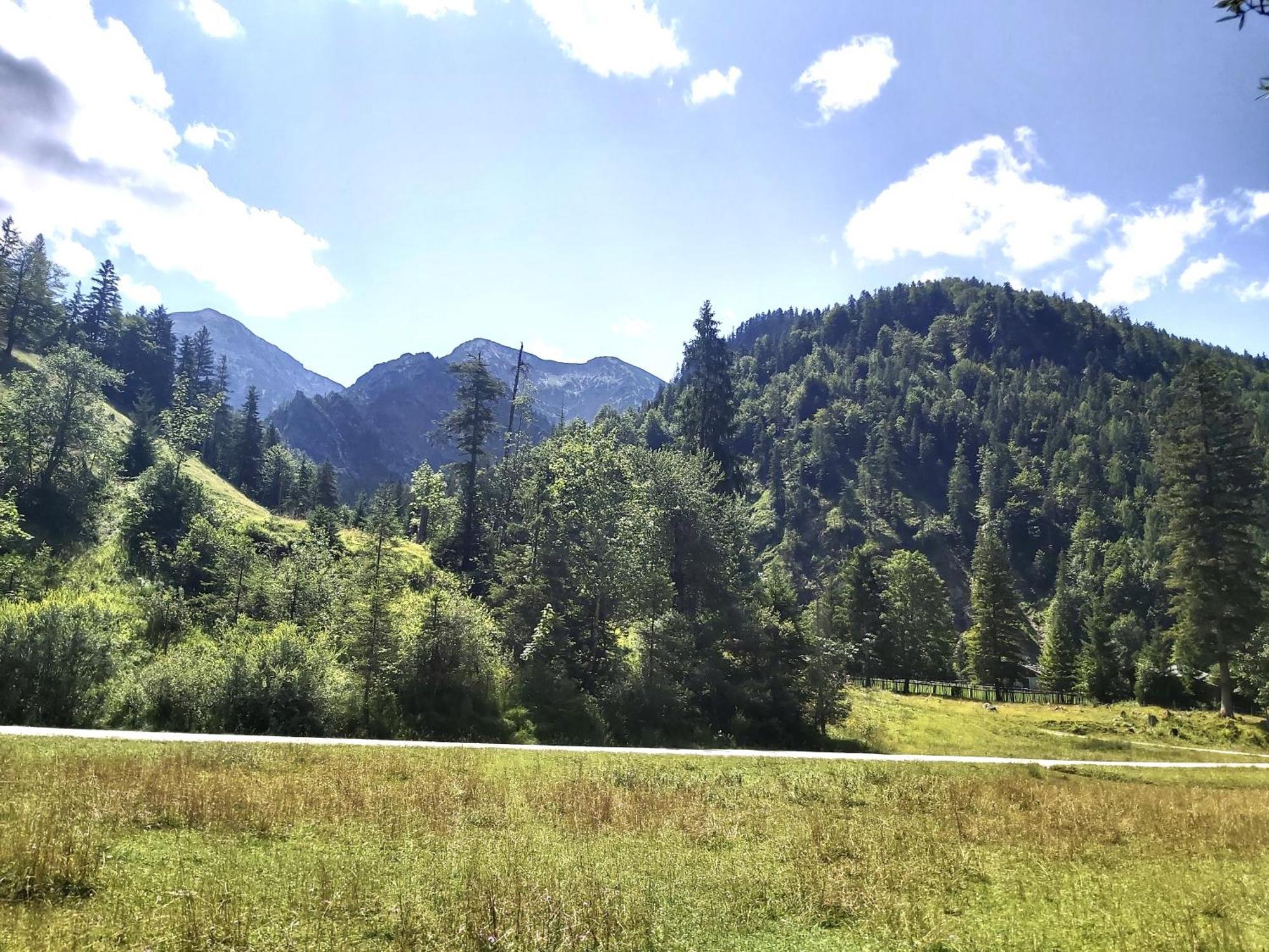 Apartment Andrea - Chiemgau Karte Inzell Εξωτερικό φωτογραφία