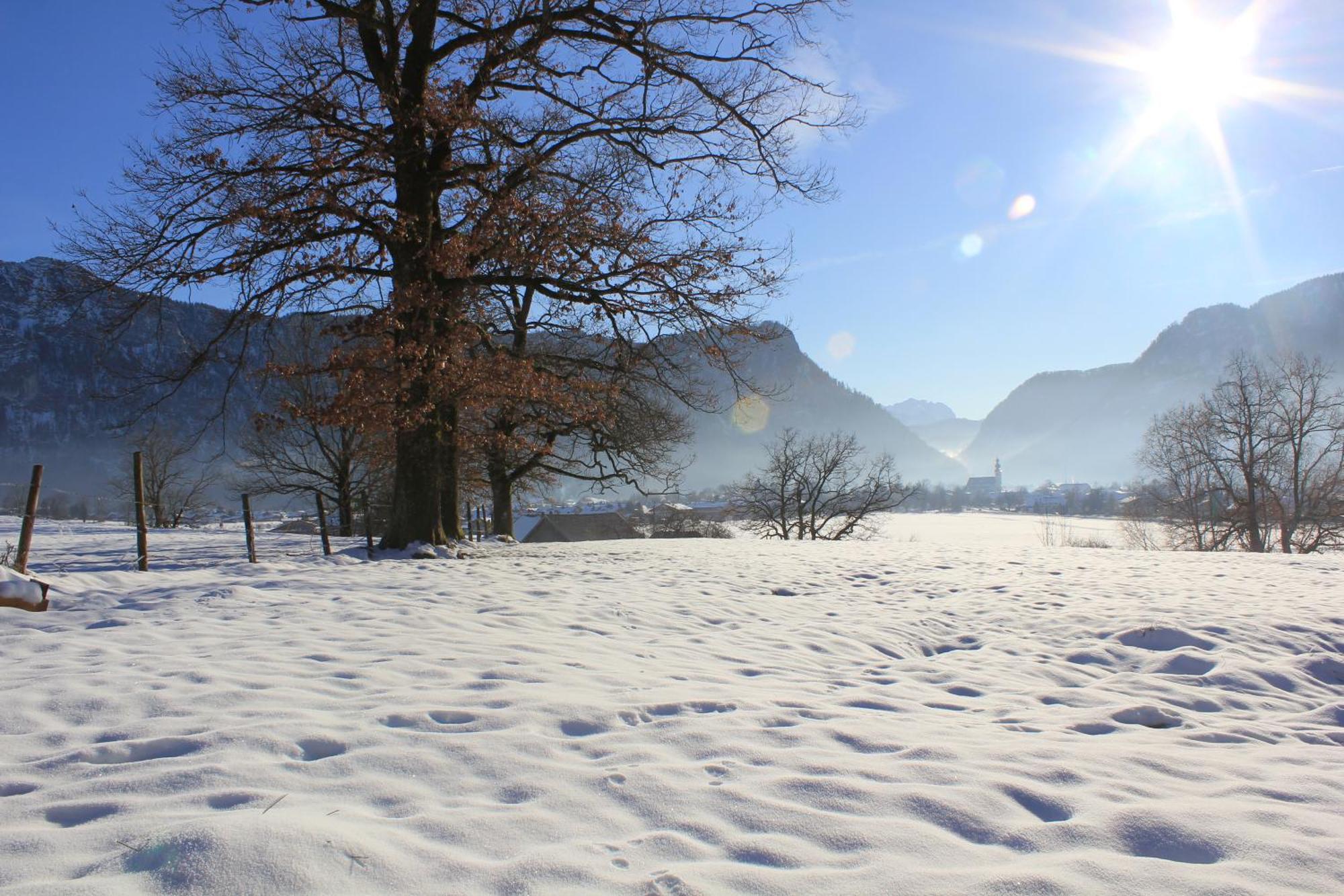 Apartment Andrea - Chiemgau Karte Inzell Εξωτερικό φωτογραφία