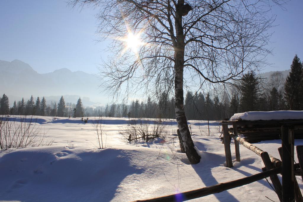 Apartment Andrea - Chiemgau Karte Inzell Εξωτερικό φωτογραφία