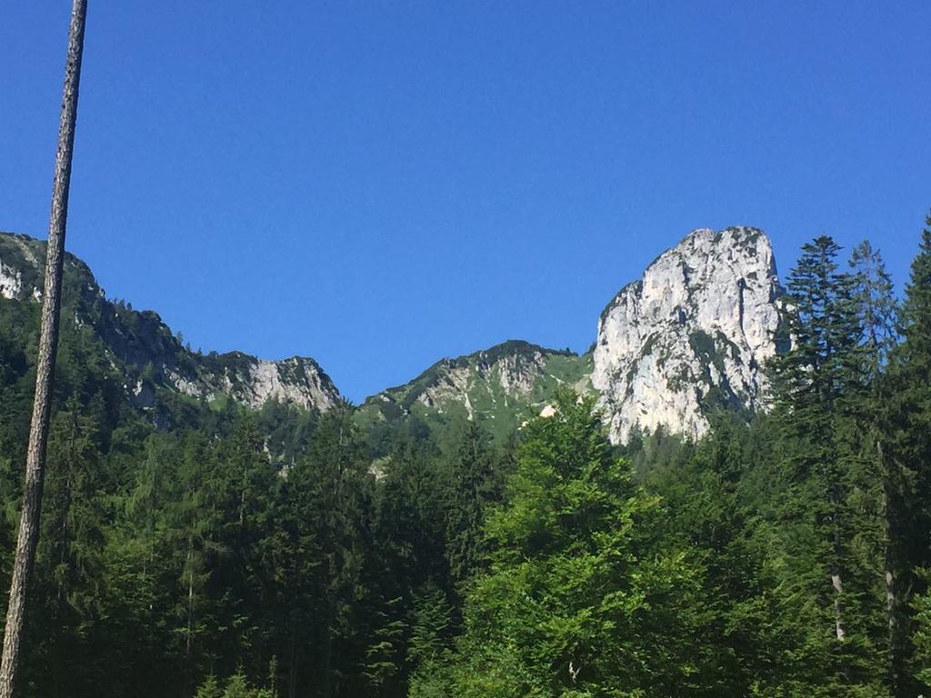 Apartment Andrea - Chiemgau Karte Inzell Εξωτερικό φωτογραφία