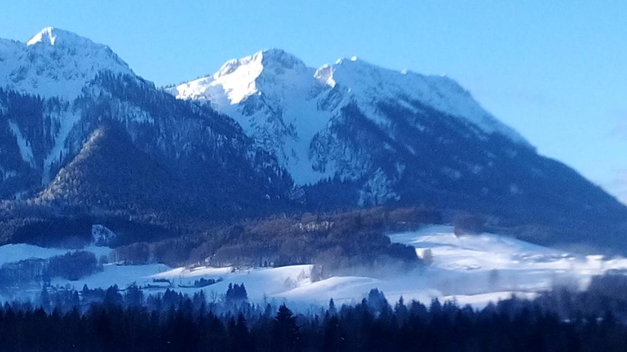 Apartment Andrea - Chiemgau Karte Inzell Εξωτερικό φωτογραφία